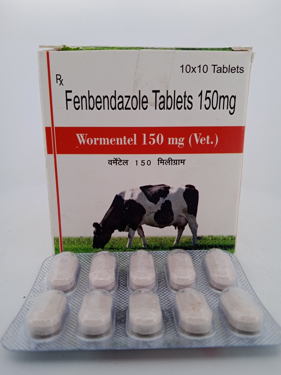 WORMENTEL 150 MG - 10 TABLET - Image 2
